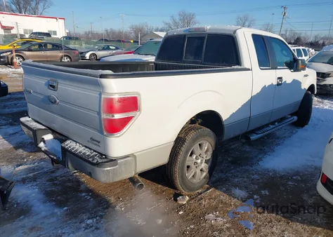 2011 Ford F-150 Xlt z USA, uszkodzony, nr VIN 1FTEX1CM1BFC64107